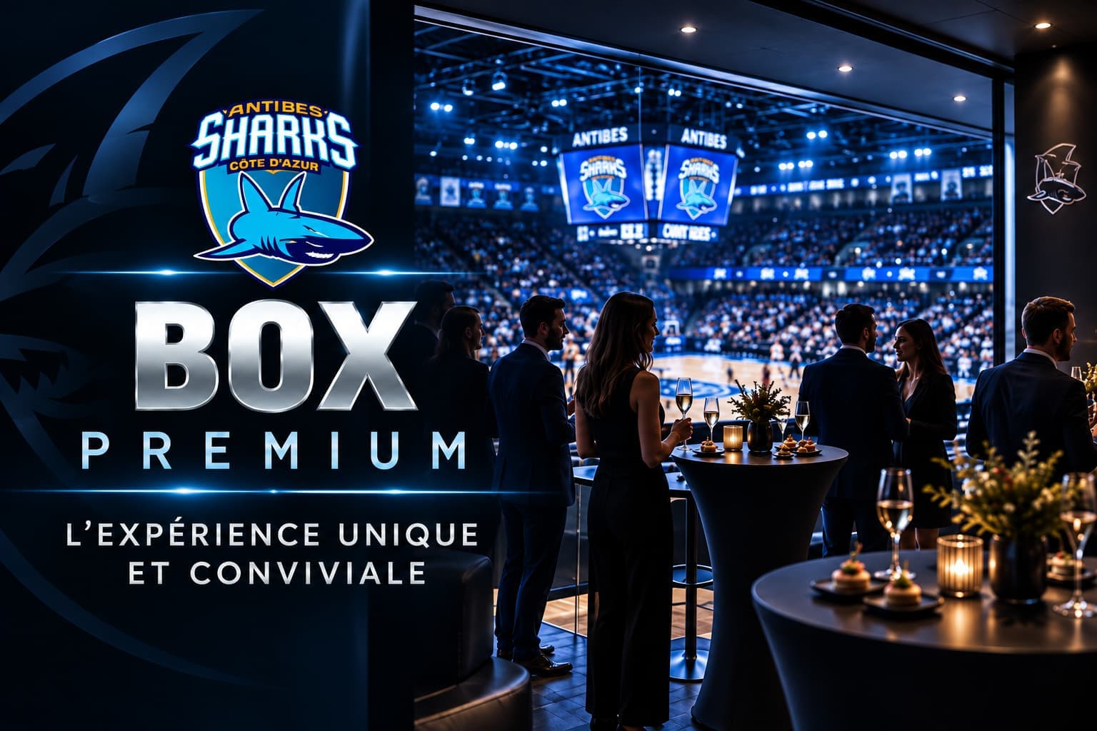 BOX PREMIUM