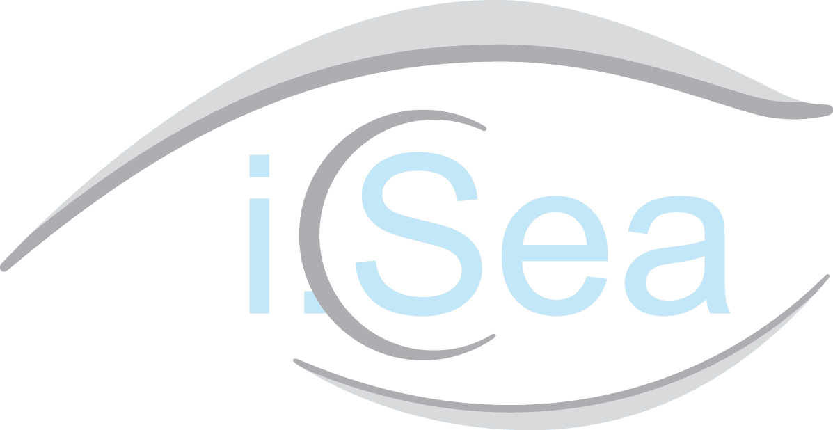 ISEA ELECTRONIC